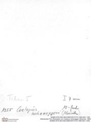 Historisches Foto (Rückseite) von Coelopus hoheneggeri (Moericke, 1889) (NHMW-AFW-GEO-BACHMAYER-FOTO-1990-0041-1355)